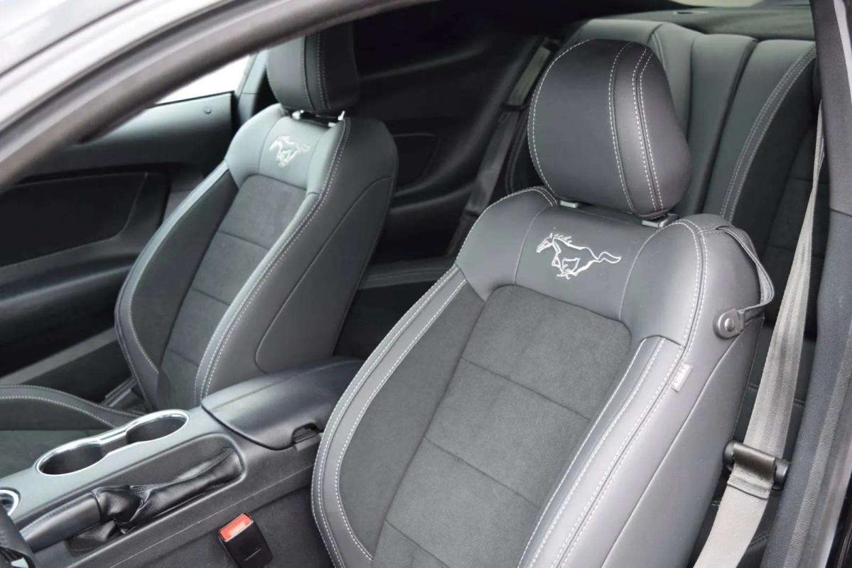 Ford Mustang - Photo 9