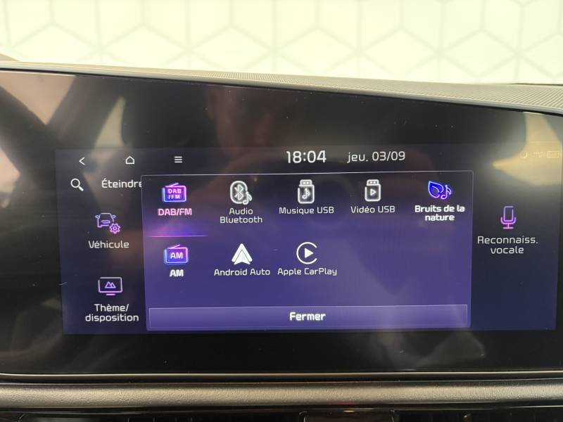 Kia Niro - Photo 30
