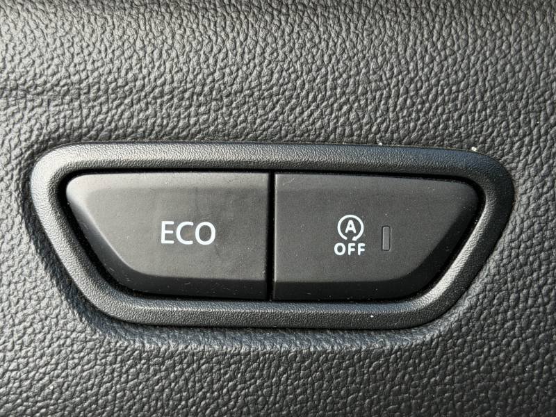 Renault Kadjar - Photo 30