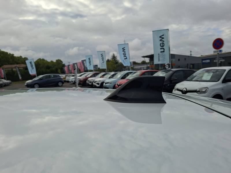 Renault Mégane - Photo 23