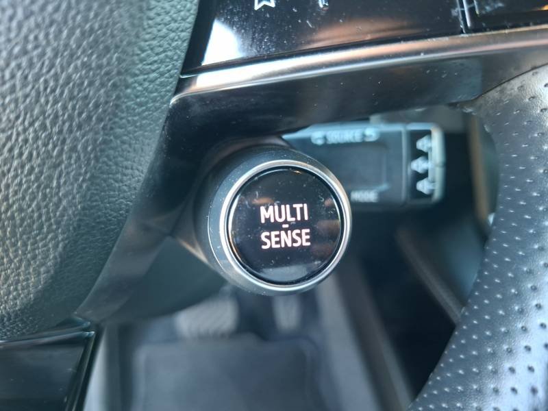 Renault Mégane - Photo 31