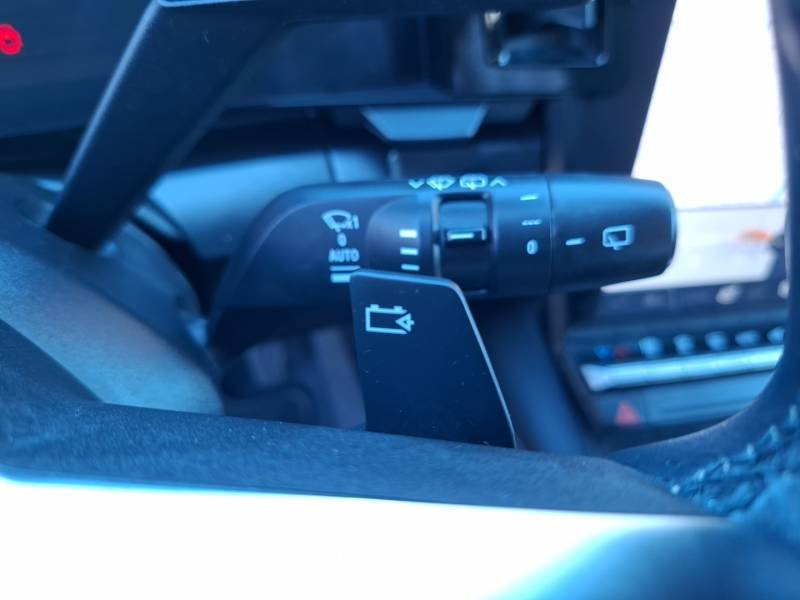 Renault Mégane - Photo 32