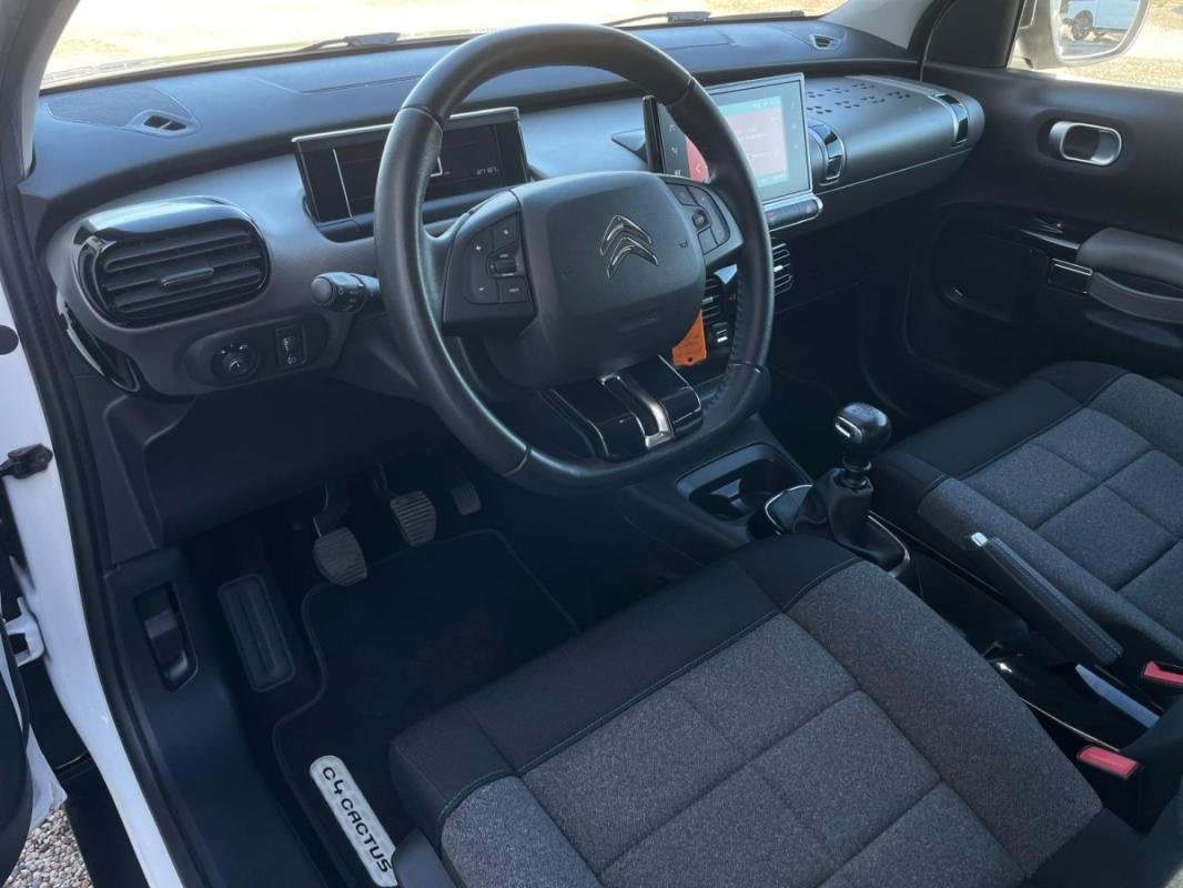 Citroën C4 Cactus - Photo 11