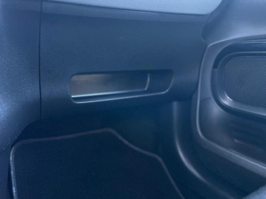 Citroën C4 Cactus - Photo 41