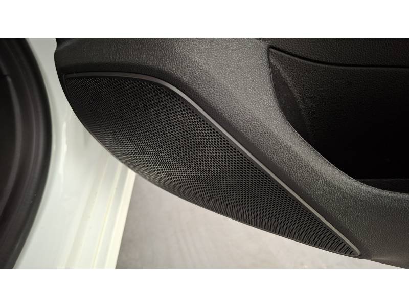 Renault Mégane - Photo 43