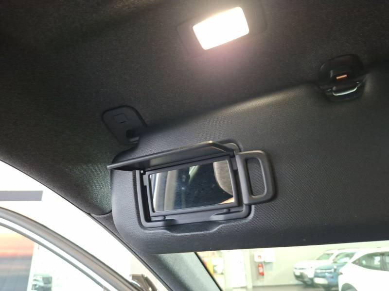 Renault Austral - Photo 43
