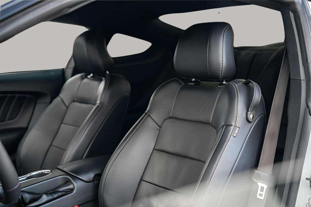 Ford Mustang - Photo 9