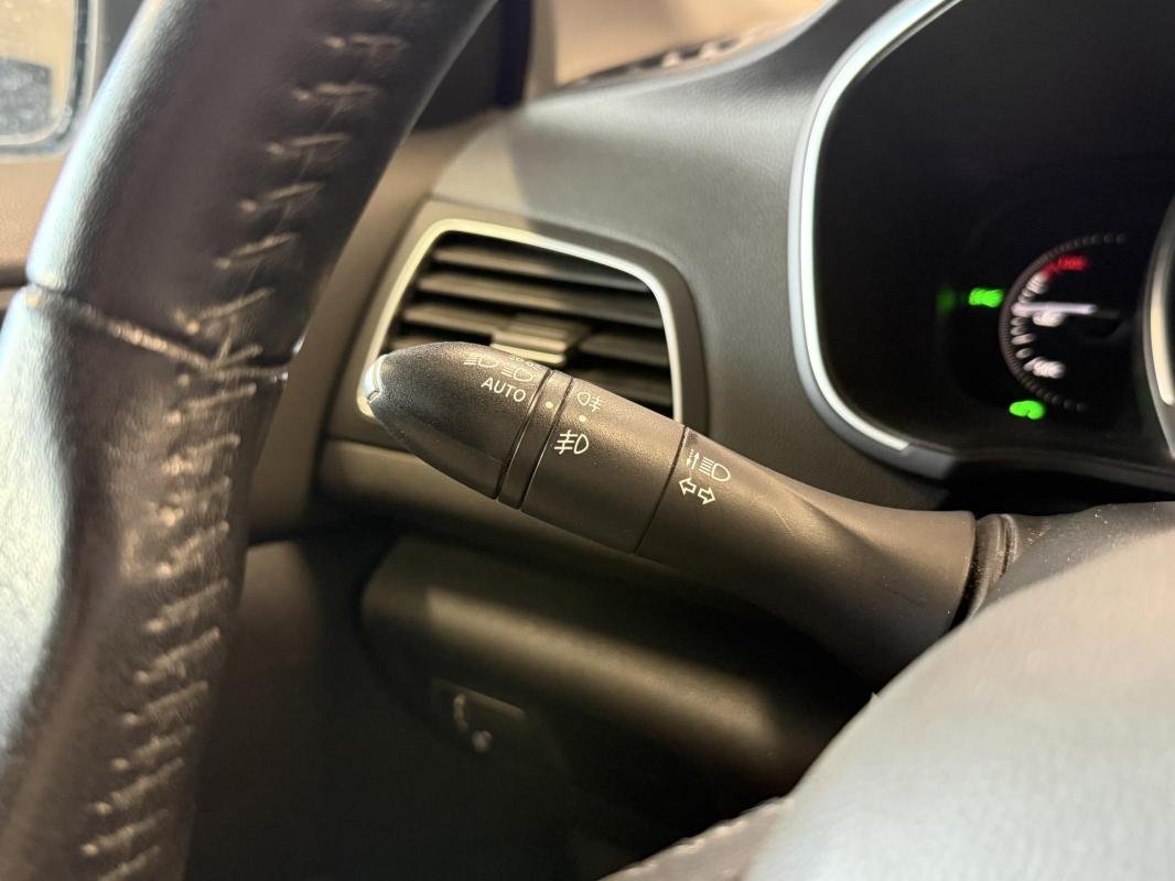 Renault Mégane - Photo 15