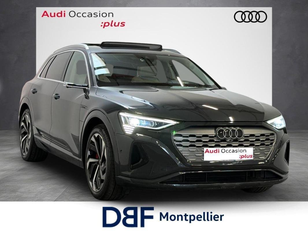 Audi e-tron - Photo 6