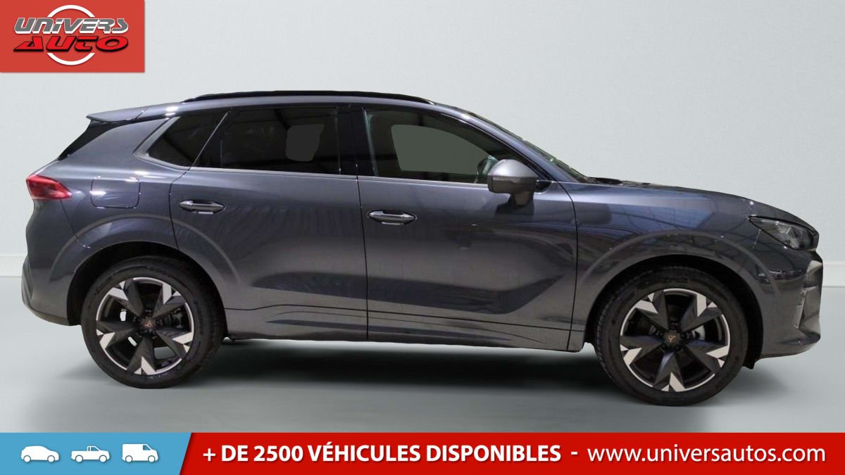 Cupra Terramar - Photo 3