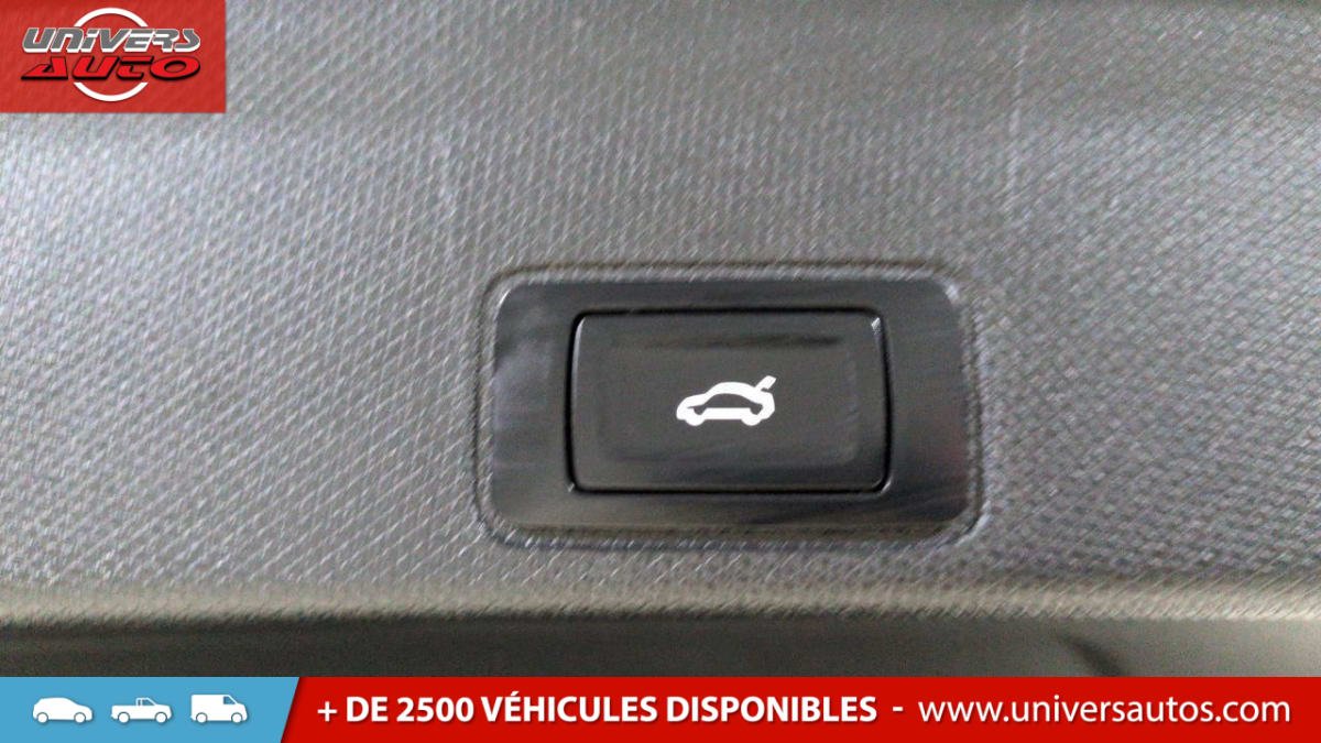 Cupra Terramar - Photo 6