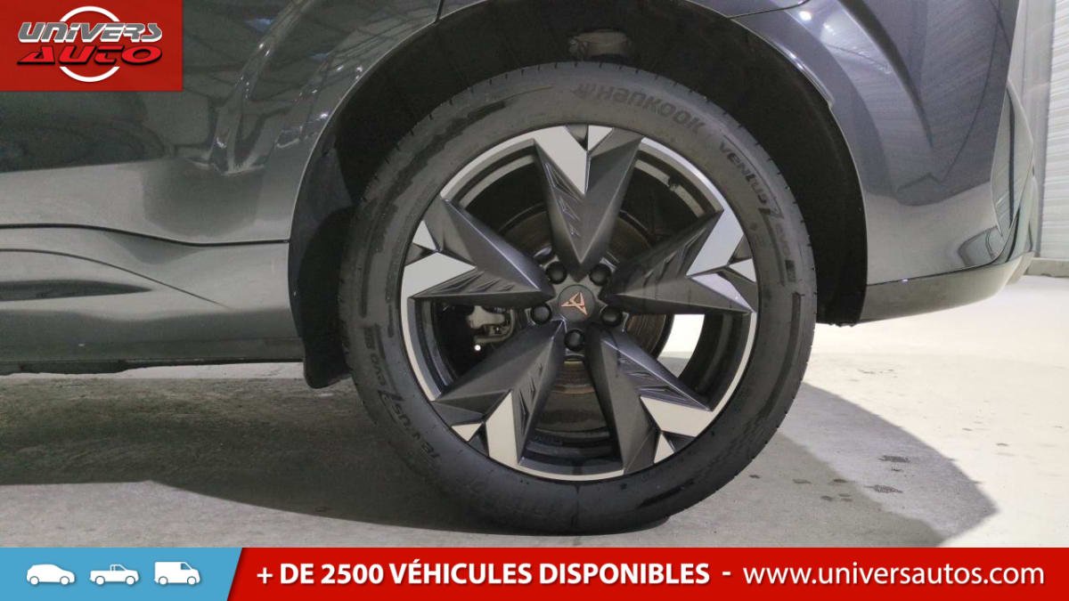 Cupra Terramar - Photo 7