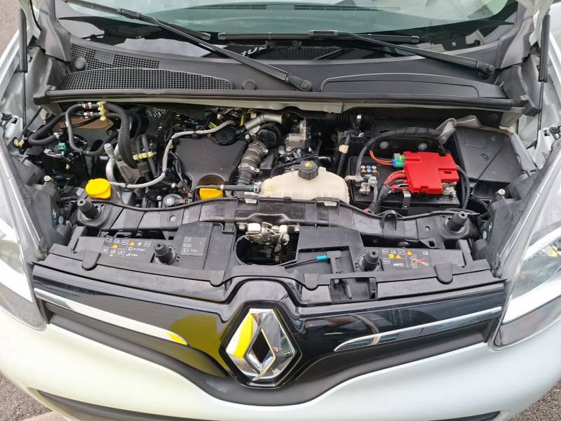 Renault Kangoo - Photo 30