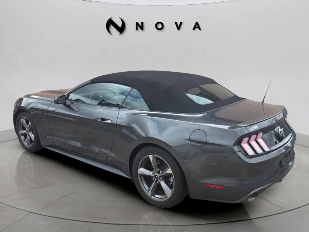 Ford Mustang - Photo 3